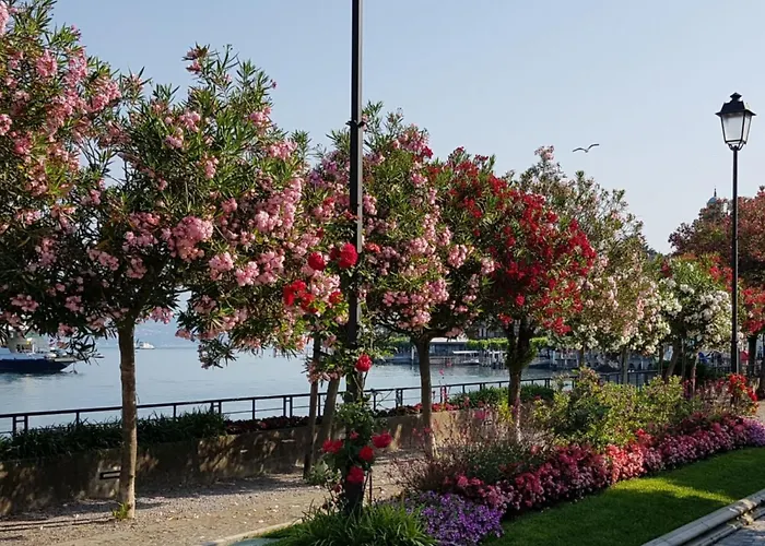 Casakatty Zwei-zimmer-wohnung Mit Balkon Mit Seeblick By Interhome * Bellagio