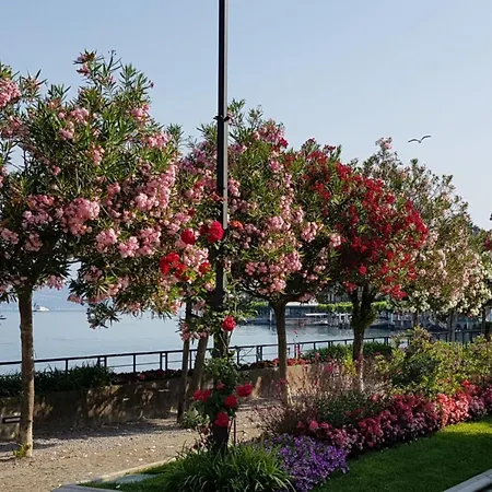 Casakatty Zwei-zimmer-wohnung Mit Balkon Mit Seeblick By Interhome * Bellagio